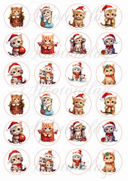 Aranyos kiscicák mikulássapkában 4 cm körökben