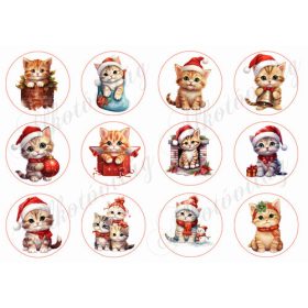 Aranyos kiscicák mikulássapkában 6 cm körökben