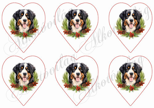 Bernipásztor kutyus karácsonyi koszorúban 9 cm-es szívekben