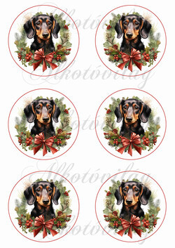 Tacskók karácsonyi koszorúkban - 8,5 cm körökben