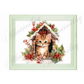 Bájos kisica házikóval 24 x 19,5 cm