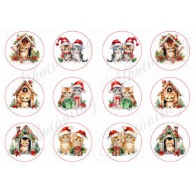 Bájos kisicák házikókkal és testvérpárok - 6 cm