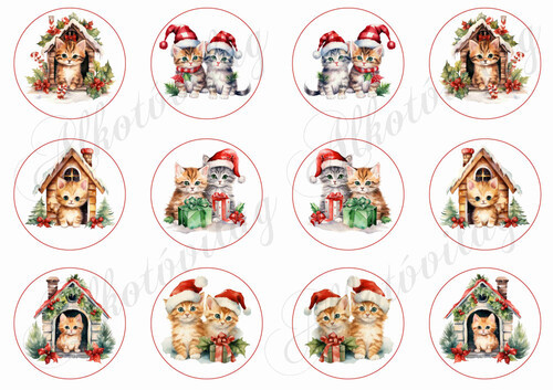 Bájos kisicák házikókkal és testvérpárok - 6 cm