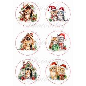 Bájos kisicák házikókkal és testvérpárok - 8,5 cm