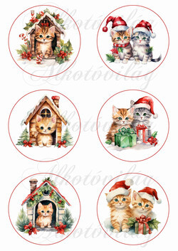 Bájos kisicák házikókkal és testvérpárok - 8,5 cm