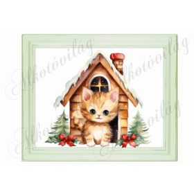 Bájos vörös kisica házikóval 24 x 19,5 cm