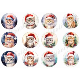 Cicák mikulássapkában - 6 cm