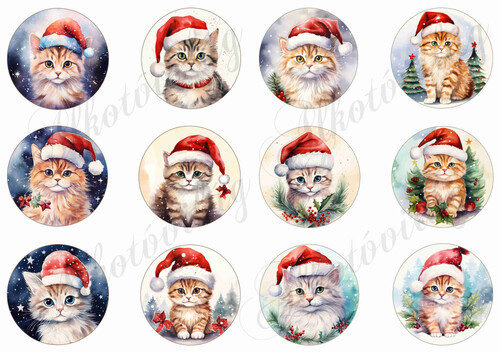 Cicák mikulássapkában - 6 cm