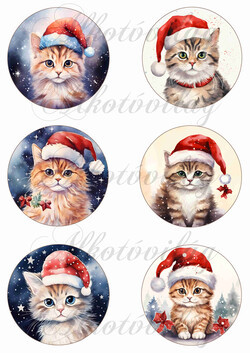 Cicák mikulássapkában - 8,5 cm