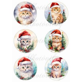 Cicák mikulássapkában magyal levelekkel - 8,5 cm