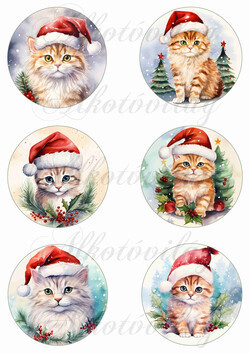 Cicák mikulássapkában magyal levelekkel - 8,5 cm