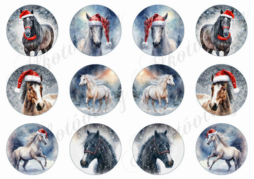 Lovak hóesésben 6 cm