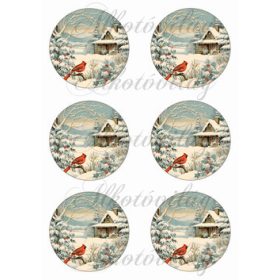   Vintage téli táj házikóval, kismadárral - 8,5 cm körökben