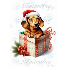   Párnablokk - vászontáska blokk  tacskó kutyussal ajándékcsomagban - kb. 22 x 20 cm