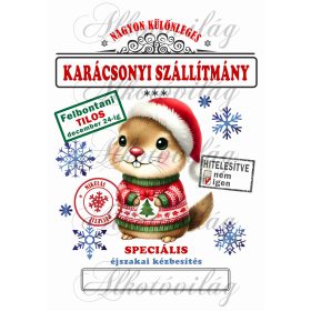   Mikulászsák aranyos hörcsög karácsonyi ruhában - december 24-re
