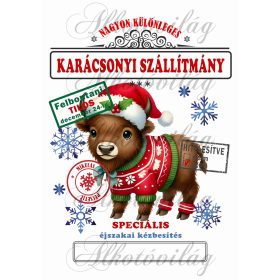 Mikulászsák cuki bölény ruhában - december 24-re