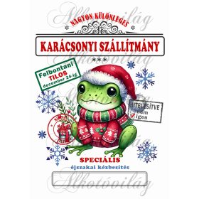   Mikulászsák cuki, aranyos béka karácsonyi ruhában, nagy szemekkel - december 24-re