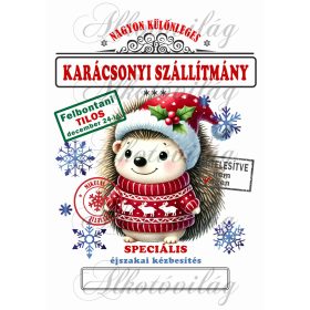   Mikulászsák cuki, sündisznó karácsonyi ruhában 2 - december 24-re