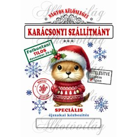   Mikulászsák cuki, ártatlan hörcsög karácsonyi ruhában - december 24-re