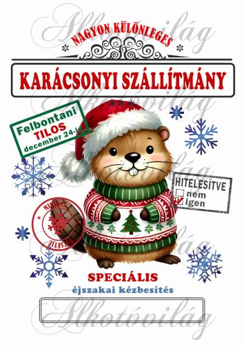 Mikulászsák karácsonyi zöld-piros ruhás cuki hóddal 2 - december 24-re