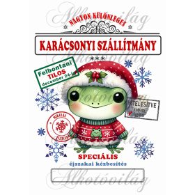   Mikulászsák ártatlan, aranyos béka karácsonyi ruhában - december 24-re