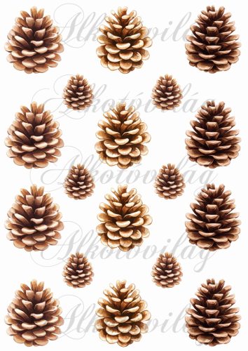 Tobozok - 6 cm magas