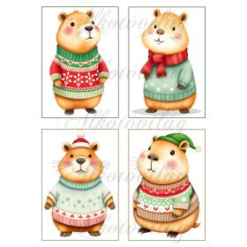   Cuki capybara figurák karácsonyi kötött pulcsiban - 13 x 9 cm-es keretben