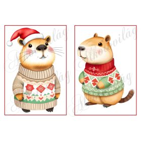   Cuki capybara figurák karácsonyi kötött pulcsiban 19 x 13 cm-es keretben
