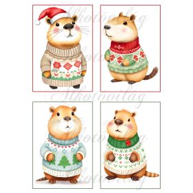   Cuki capybara figurák karácsonyi kötött pulcsiban 2 - 13 x 9 cm-es keretben