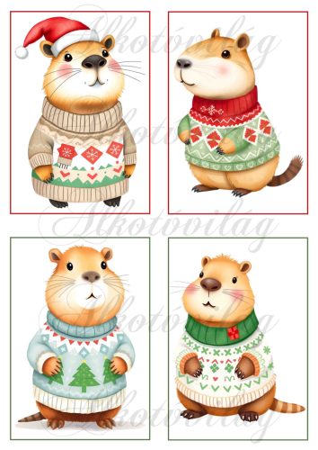 Cuki capybara figurák karácsonyi kötött pulcsiban 2 - 13 x 9 cm-es keretben