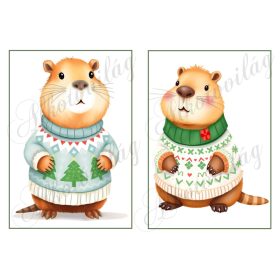   Cuki capybara figurák karácsonyi kötött pulcsiban 2 - 19 x 13 cm-es keretben