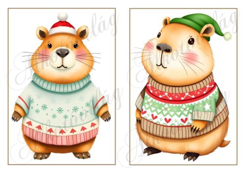 Cuki capybara figurák karácsonyi kötött pulcsiban 3 - 19 x 13 cm-es keretben