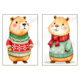   Cuki capybara figurák karácsonyi kötött pulcsiban 4 - 19 x 13 cm-es keretben