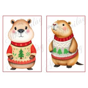   Cuki capybara figurák karácsonyi kötött pulcsiban 5 - 19 x 13 cm-es keretben