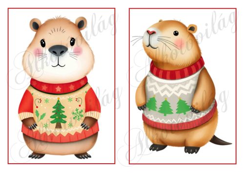 Cuki capybara figurák karácsonyi kötött pulcsiban 5 - 19 x 13 cm-es keretben