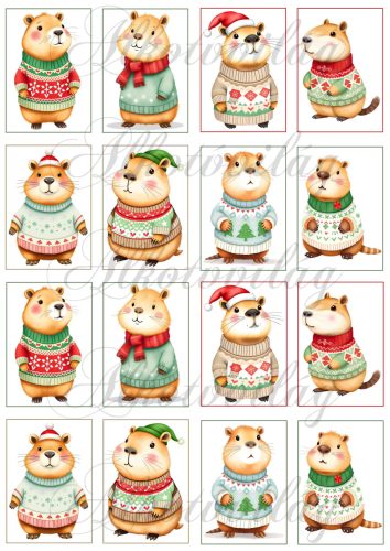 Cuki capybara figurák karácsonyi kötött pulcsiban - 6,5 x 4,5 cm-es keretben