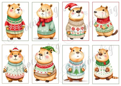 Cuki capybara figurák karácsonyi kötött pulcsiban - 9 x 6,5 cm-es keretben