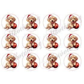 Golden kölyök kiskutya mikulássapkában 6 cm körökben