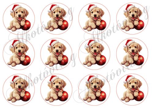 Golden kölyök kiskutya mikulássapkában 6 cm körökben