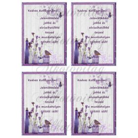 Levendulás Kolléganőnek 4 db