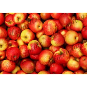 Gyümölcsös csomag: alma