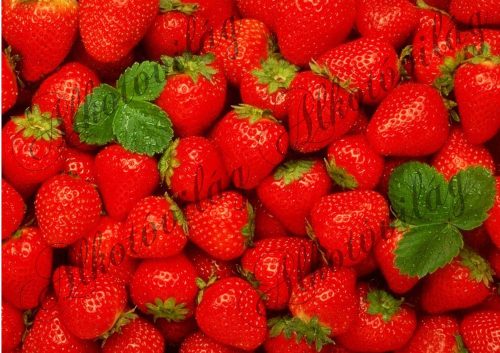 fruit pack: strawberries