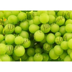 Gyümölcsös csomag: szőlő