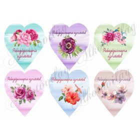 Elmosott szívek - PEDAGÓGUSNAPRA