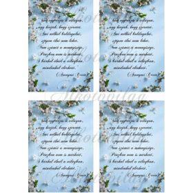 Cseresznyevirágos blokk idézettel 4 db