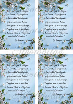 Cseresznyevirágos blokk idézettel 4 db