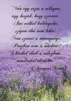 Levendulás blokk idézettel