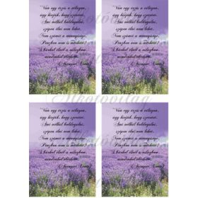 Levendulás blokk idézettel 4 db