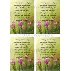 Tulipános blokk idézettel 4 db