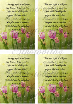 Tulipános blokk idézettel 4 db